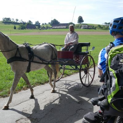 009 Ländliche Idylle